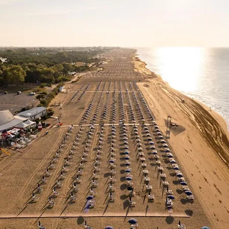 Apartment Vibrant In Centre
